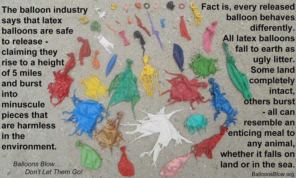 Latex Balloons are NOT Biodegradable - Balloons Blow