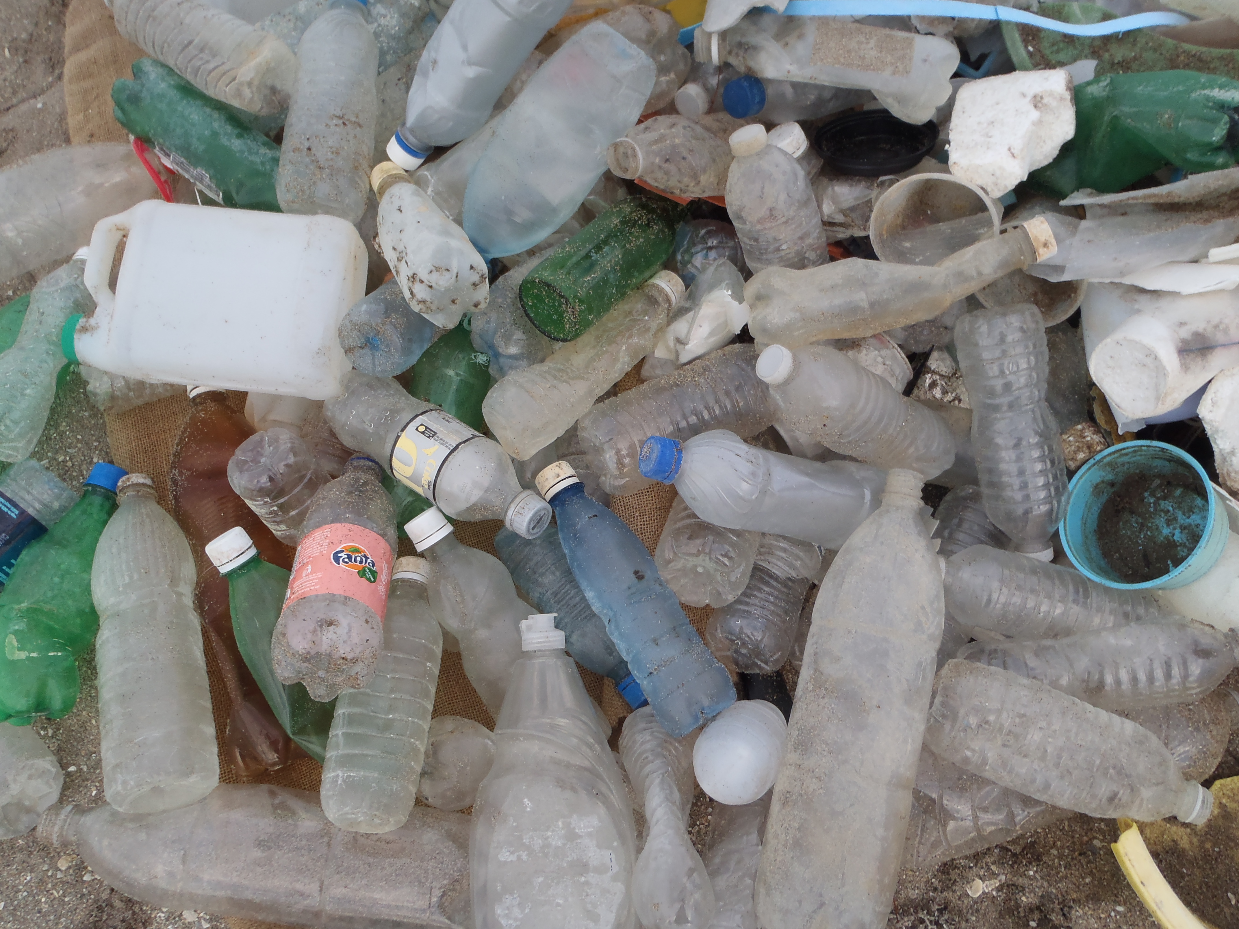 Singleuse plastic bottles galore. Please consider using a reusable