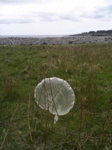Metinic Island ME - Balloon Debris