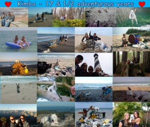Kimba - 17 1/2 Adventurous years