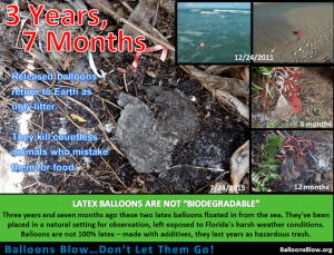 Latex Balloons Biodegradabilityi Test 3 years 7 months