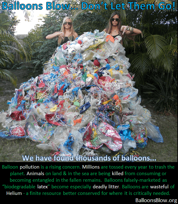 We-Have-Found-Thousands-of-Balloons-Balloon-Pollution-is-a-rising-Concern.png
