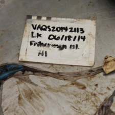 2 latex balloons inside a dead Kemp’s Ridley sea turtle