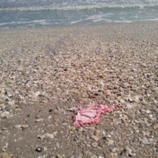 A balloon? Or a tasty jellyfish? Balloon Trash