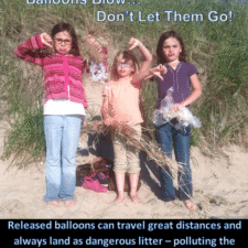 Abi, Lili and Mary - Michigan Ballon Litter