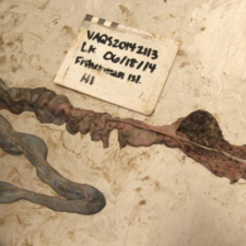 Balloon ribbon from a balloon