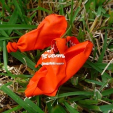 Bendigo Bank Bendigo Bank - Balloon Trash