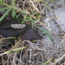 Latex Balloon Berkshire Hathaway HomeServices - Balloon Debris