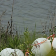 Beyar's Market Beyar's Market Balloon Trash