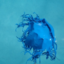 Blue “jelly” balloon Latex balloon debris