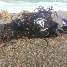 Celebration High School