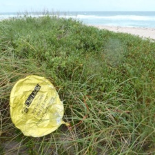 Chai Lifeline Chai Lifeline - Balloon Trash