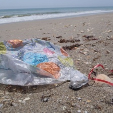 Edible Arrangements Edible Arrangements - Balloon Debris