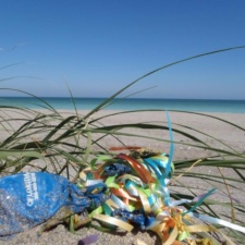 Florida Healthcare Plus Florida Healthcare Plus - Balloon Debris