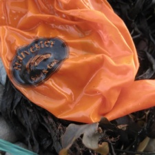 Harvester Salad & Grill Harvester Salad and Grill - Balloon Debris