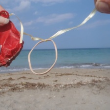 Publix Latex Publix balloon - pollution