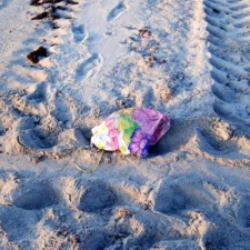 Loggerhead sea turtle crawls over balloon