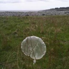 Metinic Island Metinic Island ME - Balloon Debris