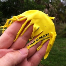 Palm III Realty Palm III Realty - Balloon Debris