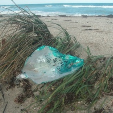 Royal Palm Beach High School – Royal Palm Beach, FL