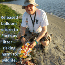 Tom - Florida Balloons on Sea Turtle Nests