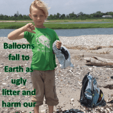 Tristan - Connecticut