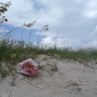 Wal-mart Clearance Balloon