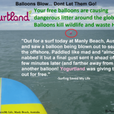 Yogurtland Yogurtland - Balloon Debris Australia