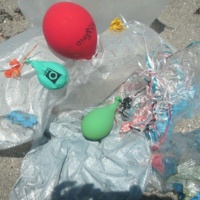 13 balloons littering beach