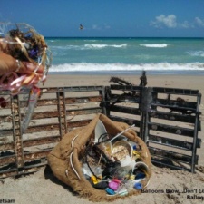 Beach Cleanup 3-31-13