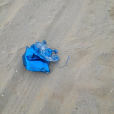 Mylar Balloon mylar balloon littering Bradley Beach