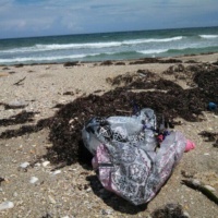 mylar balloon polluting our beach