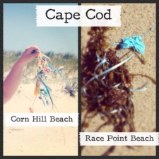 Cape Cod Balloon litter on Cape Cod