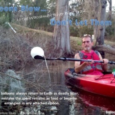 Chris - South Carolina