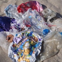 24 balloons littering beach