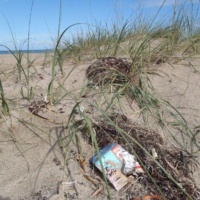 Cliff Bar wrapper left on beach