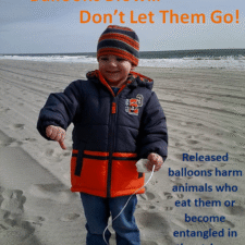 Colt - South Carolina