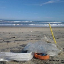 Coquina Beach Coquina Beach Cleanup