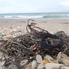 Watch Where You Step