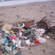 Beach Cleanup