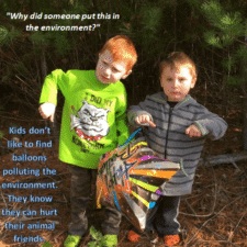 Desmond & Dexter -Massachusetts