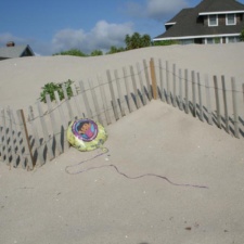 Mylar Balloon mylar balloon polluting Jersey Shore, New Jersey