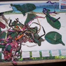 Erie Insurance Erie Insurance Latex Balloons - Pollution