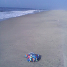 Happy Birthday! birthday balloon littering beach