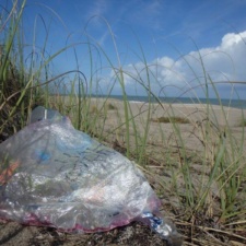 Mylar Pollution Happy birthday mylar balloon polluting beach
