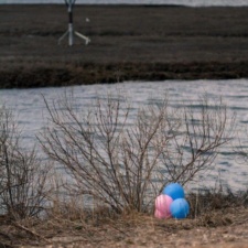 Latex Balloons Latex balloons near bird nesting