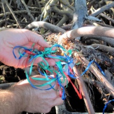Another National Park with Balloon Pollution Latex balloons with ribbons found in Biscayne National Park, FL