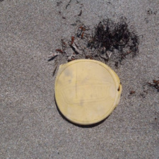 Plastic Pollution Mahler - Gautemalan food product debris on beach