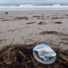 Beach Debris