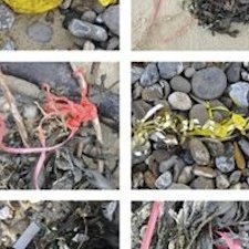 Covehythe, UK Mylar and Latex Balloon Pollution collage - Covehythe, UK